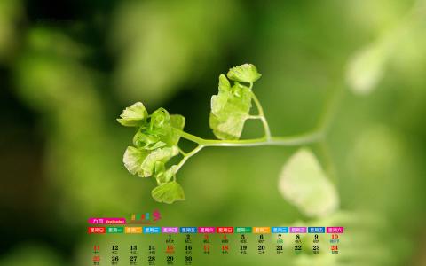 图片 _ 第(2)张