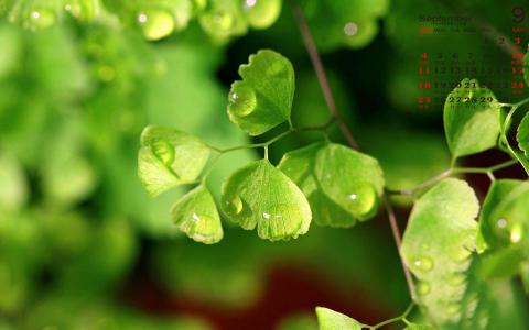 图片 _ 第(5)张 图片 _ 第(5)张