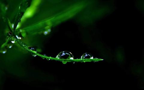 秋天的树叶风景摄影高清宽屏桌面壁纸第0张