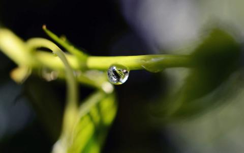 秋天的树叶风景摄影高清宽屏桌面壁纸第6张