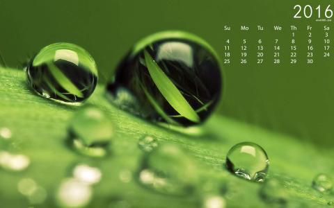 第0张
