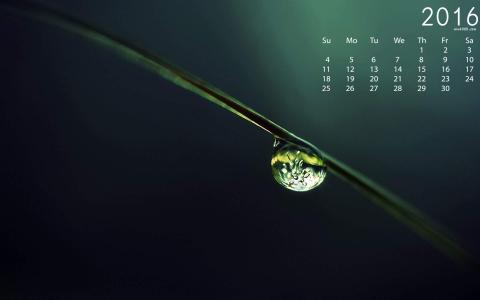 超酷炫炫彩微距下的叶子脉络梦幻高清桌面壁纸第4张