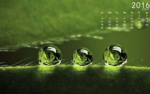超酷炫炫彩微距下的叶子脉络梦幻高清桌面壁纸第6张