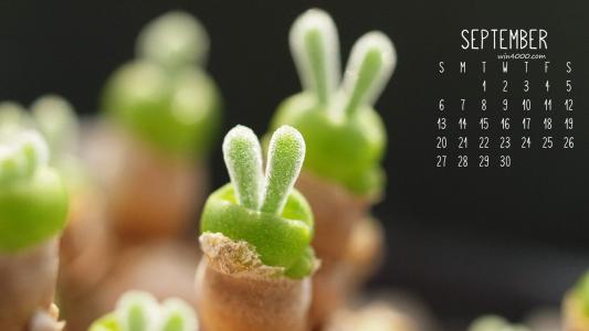 绿色桌面图片 _ 第(2)张