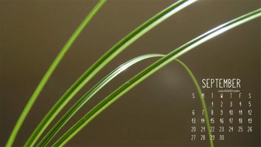 图片 _ 第(1)张