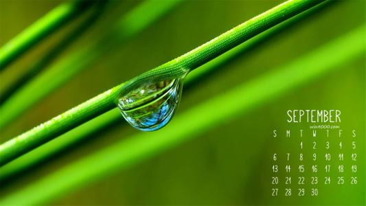 图片 _ 第(3)张