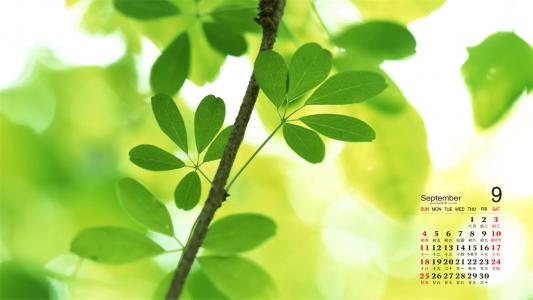 图片 _ 第(9)张