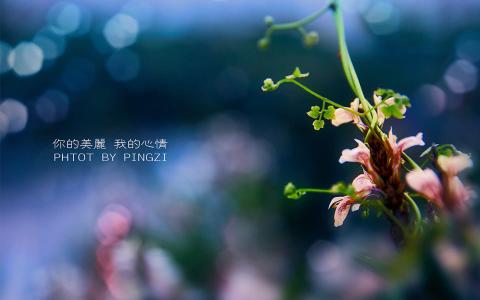 第1张