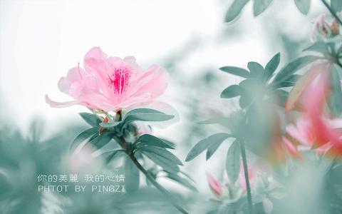 意境图图片 _ 第(8)张