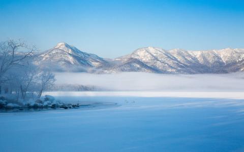 冬日雪景图片 _ 第(4)张