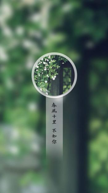 春风十里不如你唯美意境图片手机壁纸第1张