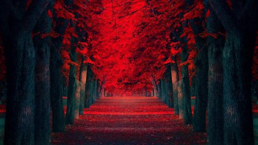 高清风景壁纸图片 _ 第(1)张