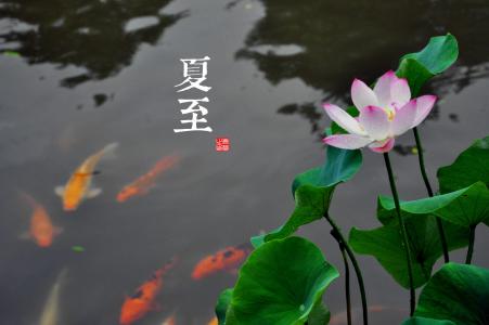 《英雄联盟》LOL星之守护者原画超清壁纸图片第3张