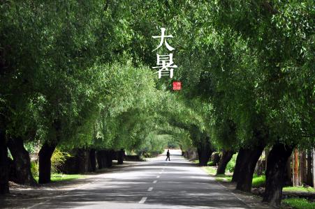 《英雄联盟》LOL星之守护者原画超清壁纸图片第5张