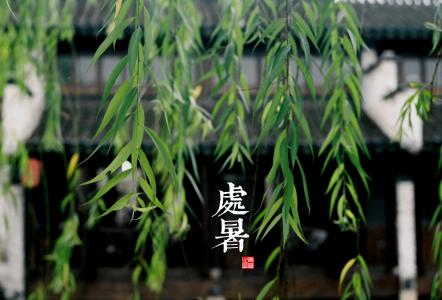 《英雄联盟》LOL星之守护者原画超清壁纸图片第1张