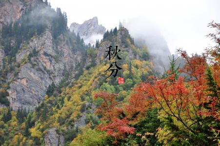 《英雄联盟》LOL星之守护者原画超清壁纸图片第3张