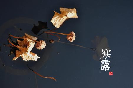 《英雄联盟》LOL星之守护者原画超清壁纸图片第4张