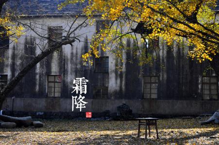 《英雄联盟》LOL星之守护者原画超清壁纸图片第5张