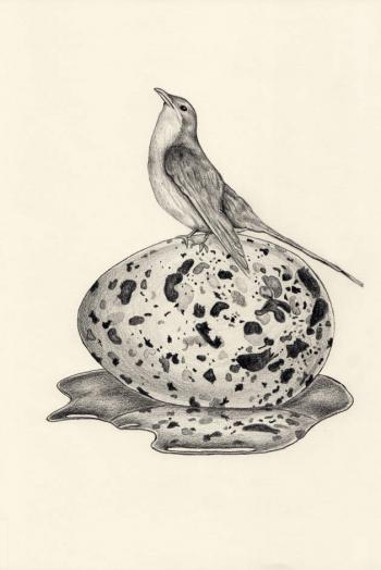 以色列插画师Tahel Maor清新可爱手机壁纸第0张