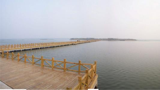 初春唯美粉色桃花高清风景壁纸第1张