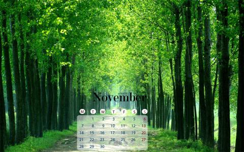 图片 _ 第(3)张