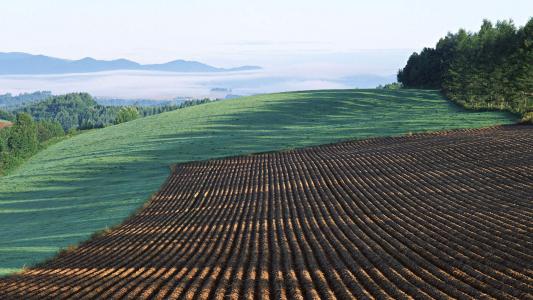 山间田野第5张
