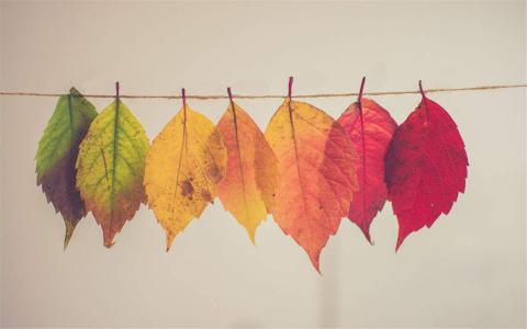 图片 _ 第(2)张