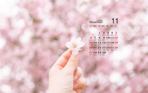 唯美浪漫的樱花桌面壁纸第1张