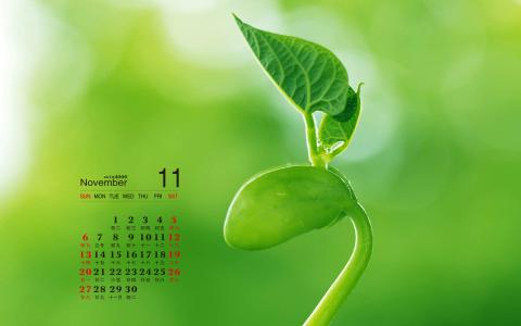 清新护眼绿色嫩芽图片桌面壁纸第1张