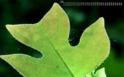 图片 _ 第(5)张 图片 _ 第(5)张