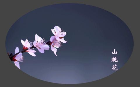 唯美意境风景图片图片 _ 第(7)张