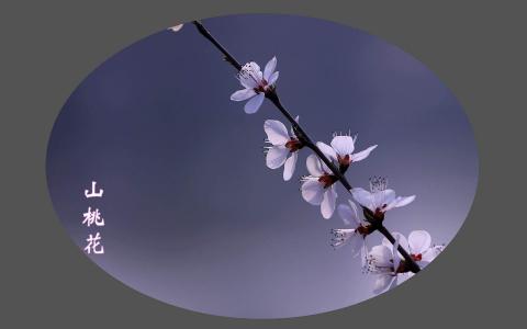唯美意境风景图片图片 _ 第(9)张