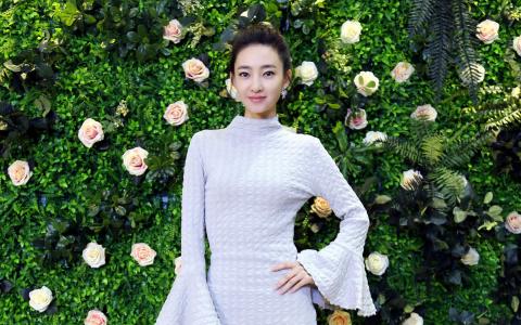 王丽坤图片图片 _ 第(3)张