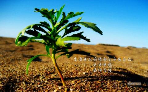 励志桌面图片 _ 第(4)张