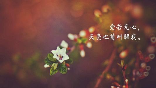 图片 _ 第(3)张