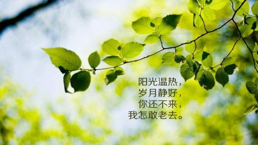 图片 _ 第(4)张