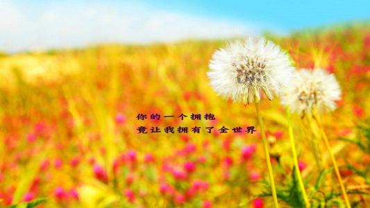图片 _ 第(5)张
