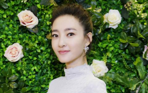 王丽坤图片图片 _ 第(6)张
