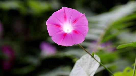 图片 _ 第(7)张