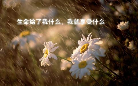 文字控图片 _ 第(10)张