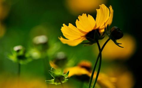 图片 _ 第(8)张