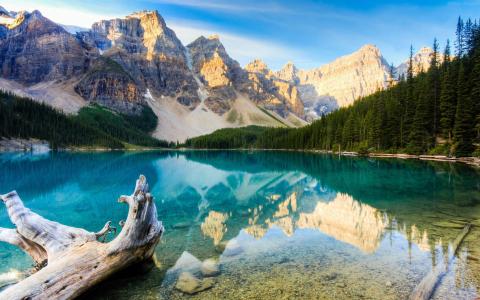 图片 _ 第(3)张