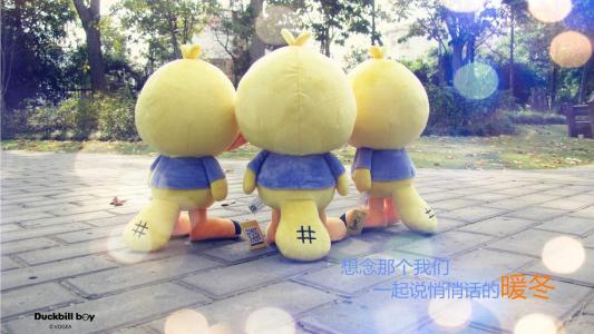 精选鸭嘴兽男孩公仔高清电脑壁纸第0张