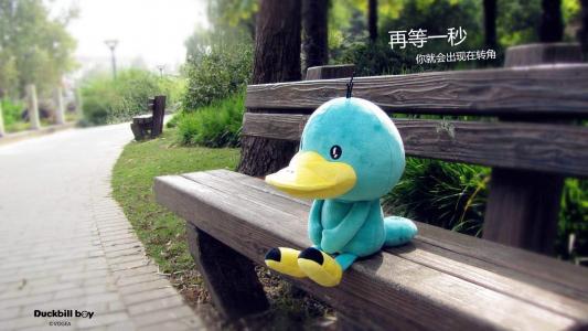 精选鸭嘴兽男孩公仔高清电脑壁纸第3张