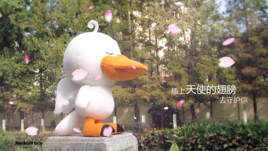 精选鸭嘴兽男孩公仔高清电脑壁纸第5张