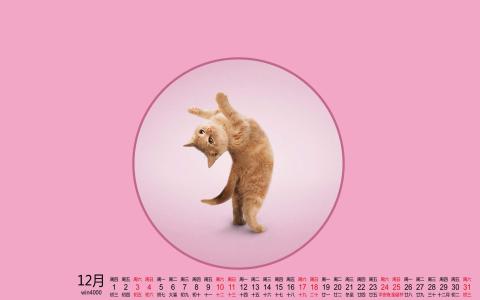 第0张