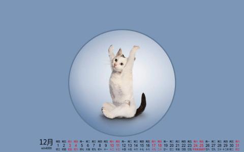 第2张