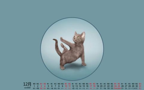 可爱的喵星人灰色苏格兰折耳猫电脑桌面壁纸下载第6张