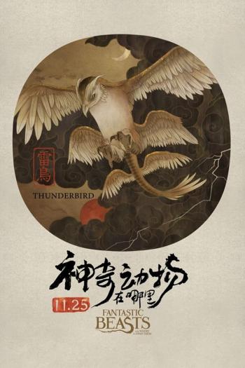 图片 _ 第(2)张
