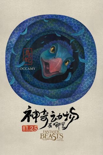 图片 _ 第(3)张